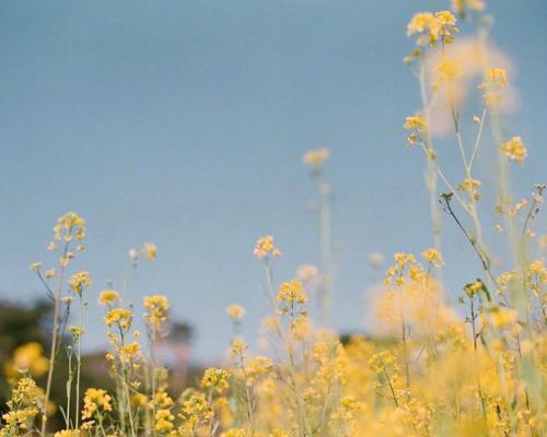 比尔盖茨经典名言名句