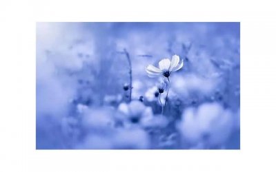 ​情话书签 伤感（女生向男生表白的土味情话）