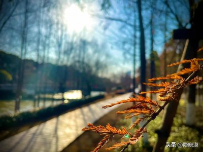 ​男人偷发朋友圈的伤感句子，每一句让人心痛到无法呼吸