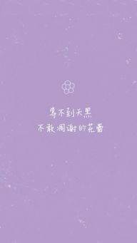 暖心短句小清新七字 暖心短句小清新