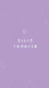 ​暖心短句小清新12字 暖心短句小清新