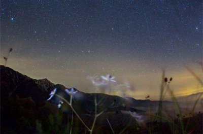 ​伤感句子句句心痛 简短句子伤感(精选59句)