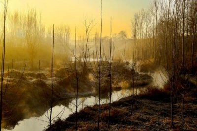 ​写关于爱情的句子 形容爱情伤感的句子