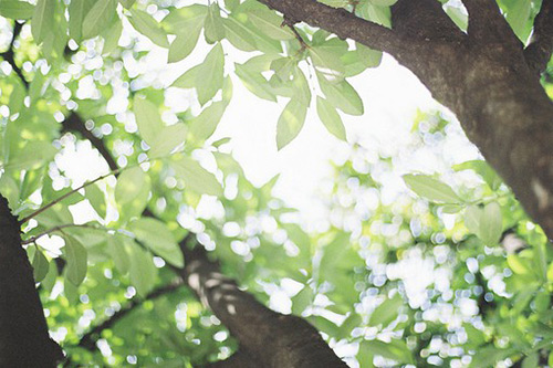 关于抽烟的伤感句子(40句)