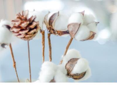 伤感的超短句子大全