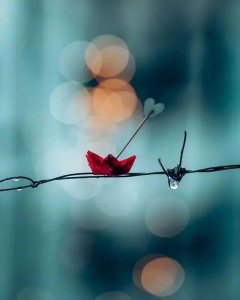 ​适合女生表示心痛的伤感说说（看一次哭一次）