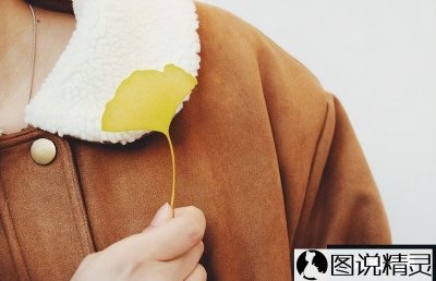 ​唯美伤感的句子短句   痛到心滴血的句子