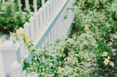 ​唯美伤感句子要短