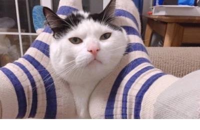 qq孤独伤感个性签名语录