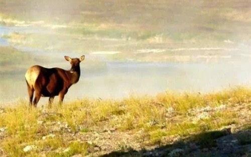 伤感美文美句摘抄