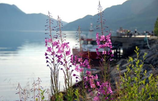 关于悲伤的句子摘抄