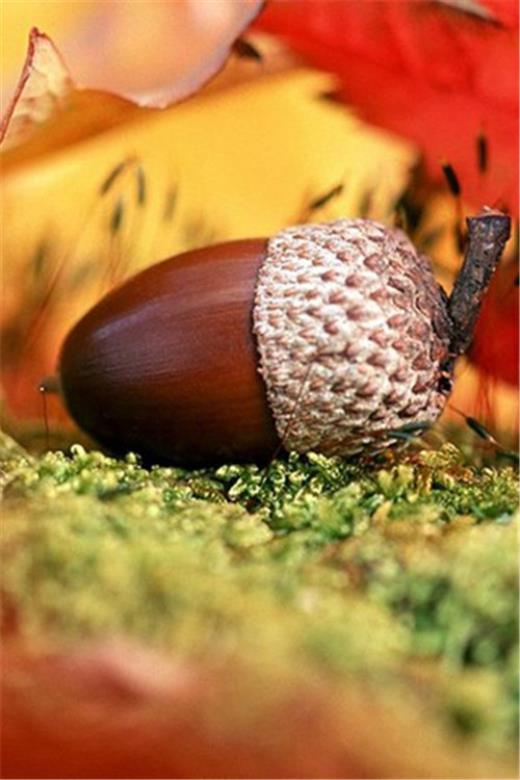 关于悲伤的句子摘抄