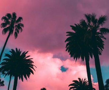 ​2025心累伤感句子大全 2025伤感的句子说说心情(精选78句)