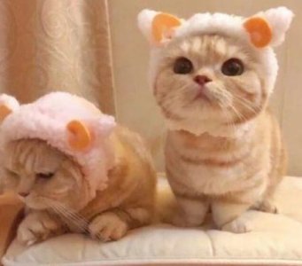 ​写爱国主义的诗句75句