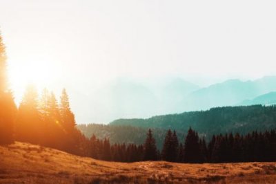 ​描写黄河的诗句大全67句