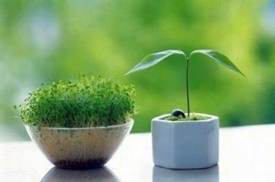 ​描写田园风光的诗句70句