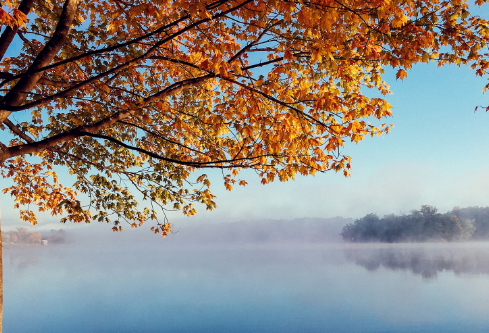 1702345032781771.png image.png