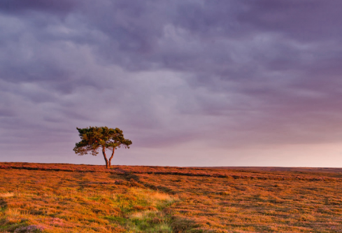 1702347184600115.png image.png