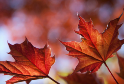 ​关于青春励志一句话语录 青春励志语录经典短句