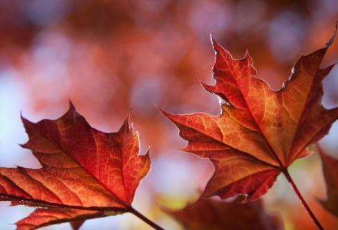 1702346191825235.png image.png