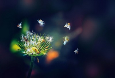 ​关于青春励志语录 关于奋斗的青春唯美句子