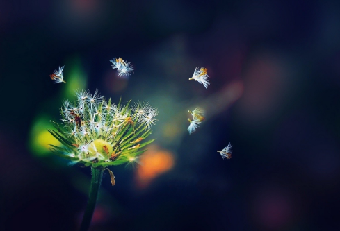 1702346687630608.png image.png