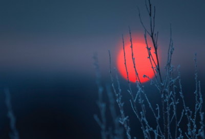 ​关于励志不抱怨内心阳光的句子