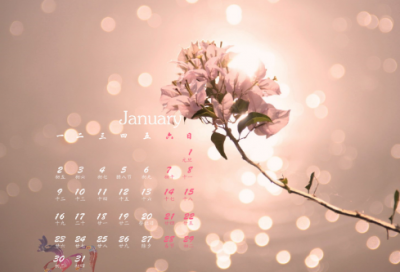 ​关于正能量句子励志短句子