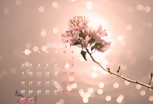 1702365742883275.png image.png