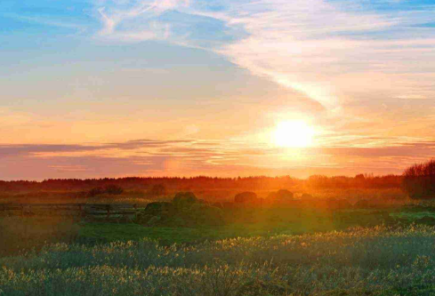 1702366073896981.png image.png