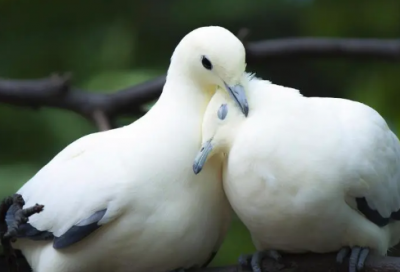 ​感恩生活正能量的句子说说【感恩励志名言名句大全】