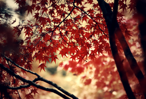 1702397709355197.png image.png