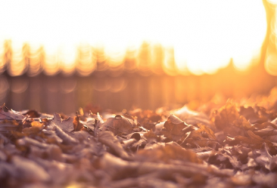 ​关于有创意的班级口号 押韵 班级口号16字押韵励志