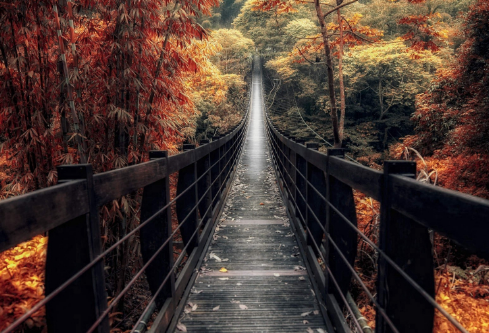 1702325493802273.png image.png