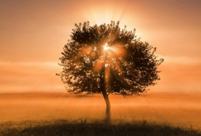 ​描述刻苦学习的句子_经典学习励志语录（精选推荐）