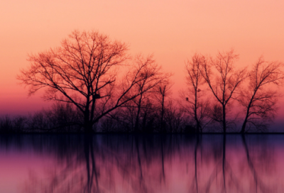 ​关于阳光简短励志唯美句子 正能量说说