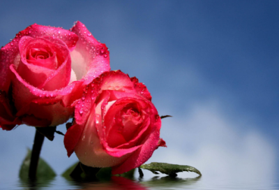 ​精选的关于做人的名言警句名句大全(精选95句)