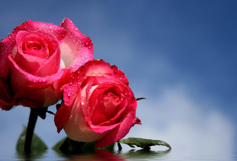 1686362518772254.png image.png