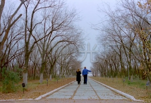 1686364183634563.png image.png