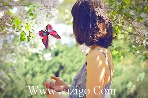 古典唯美伤感诗词句子经典唯美古风伤感诗句(精选80句)