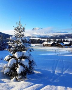 ​佛说人生感悟的句子短句（佛说感悟人生的经典句子，90后读懂受益颇多！）