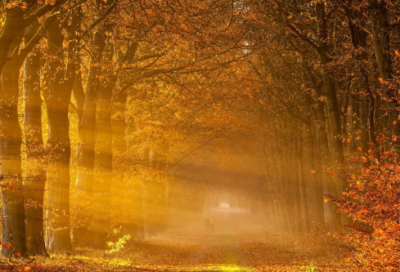 ​关于越努力越幸运的励志短句