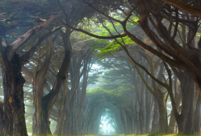 ​关于今日成长工作励志语录经典