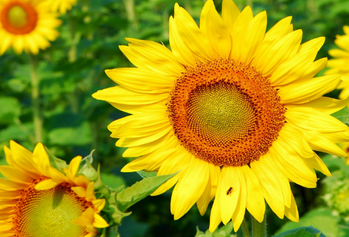 1710979494554564.png image.png