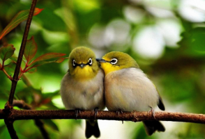 ​鼓励年轻人的名言 鼓励青年人的名言(精选95句)