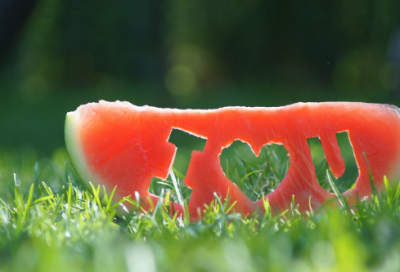 ​不放弃的名言 关于读书的名言(精选75句)