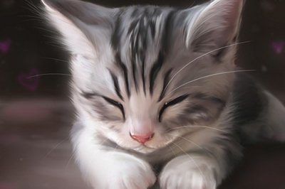 ​关于团结的英文谚语