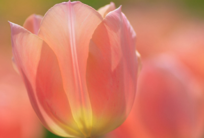 ​关于未来可期文案短句 励志文案