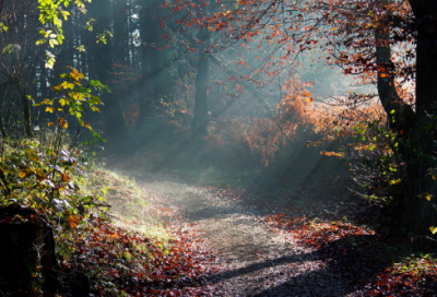 ​关于职业女性励志语录 抖音女性励志文案