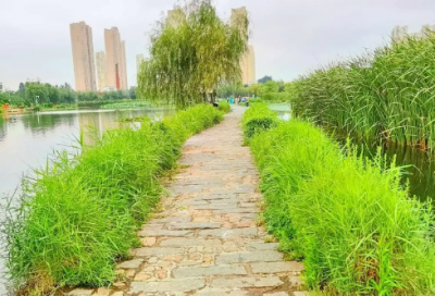 ​努力挣钱的句子霸气 现实赚钱的励志句子